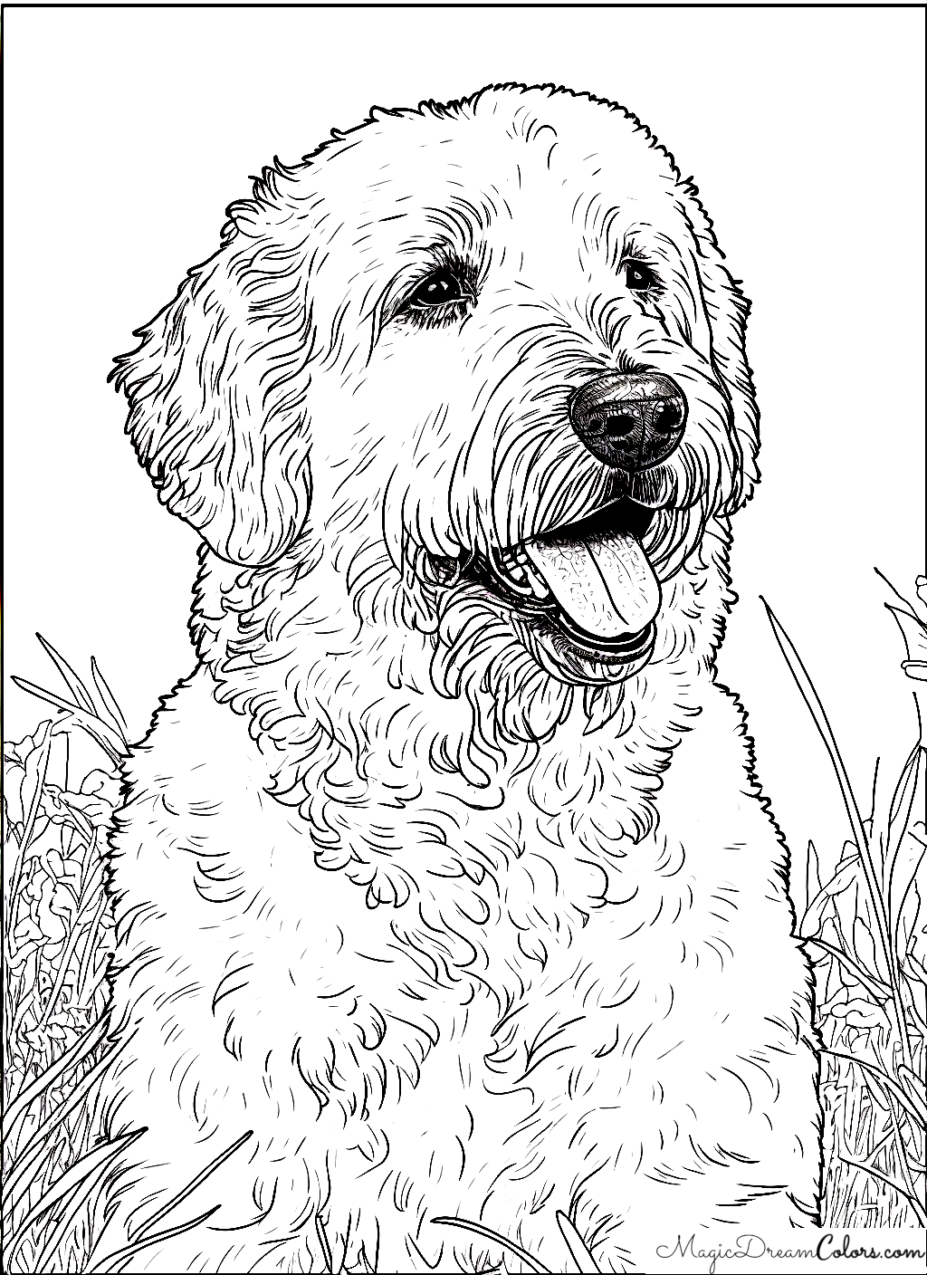 Hund malen | | MagicDreamColors